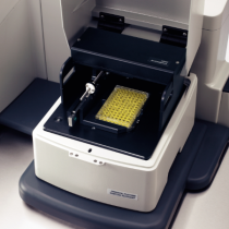 DXR SmartRaman