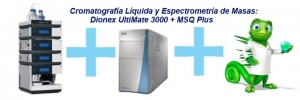 Cromatografía Líquida y Espectrometría de Masas: Dionex UltiMate 3000 + MSQ Plus